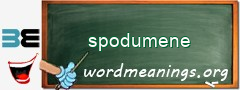 WordMeaning blackboard for spodumene